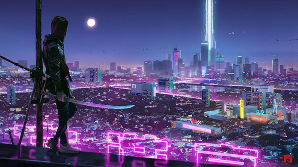 Sfeerbeeld Sector 9